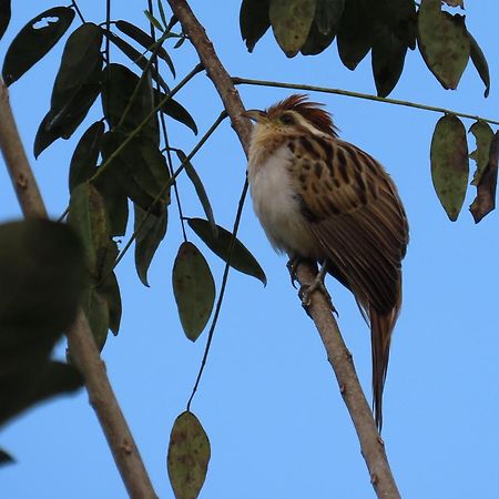 La Mariola - Finca Agroecologica เอล คาสติลโล เด ลา คอนเซปชิอง ภายนอก รูปภาพ