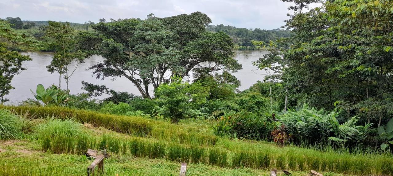 La Mariola - Finca Agroecologica เอล คาสติลโล เด ลา คอนเซปชิอง ภายนอก รูปภาพ