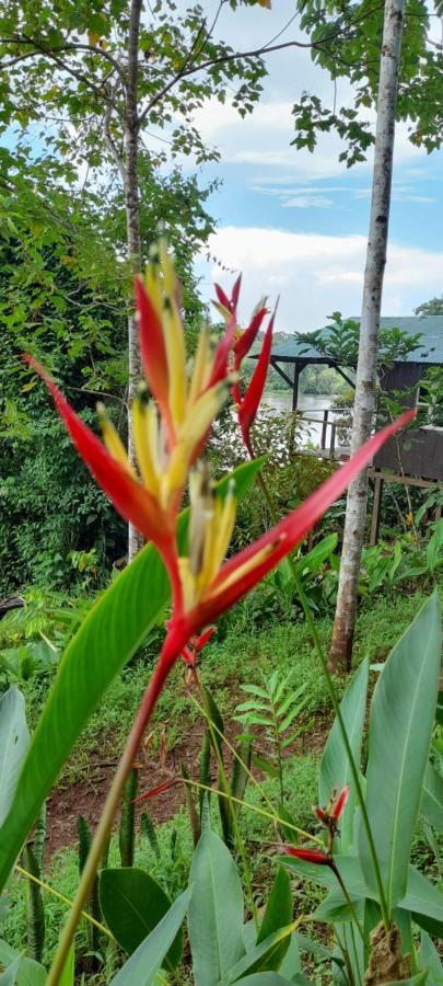 La Mariola - Finca Agroecologica เอล คาสติลโล เด ลา คอนเซปชิอง ภายนอก รูปภาพ