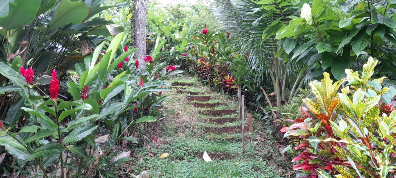 La Mariola - Finca Agroecologica เอล คาสติลโล เด ลา คอนเซปชิอง ภายนอก รูปภาพ