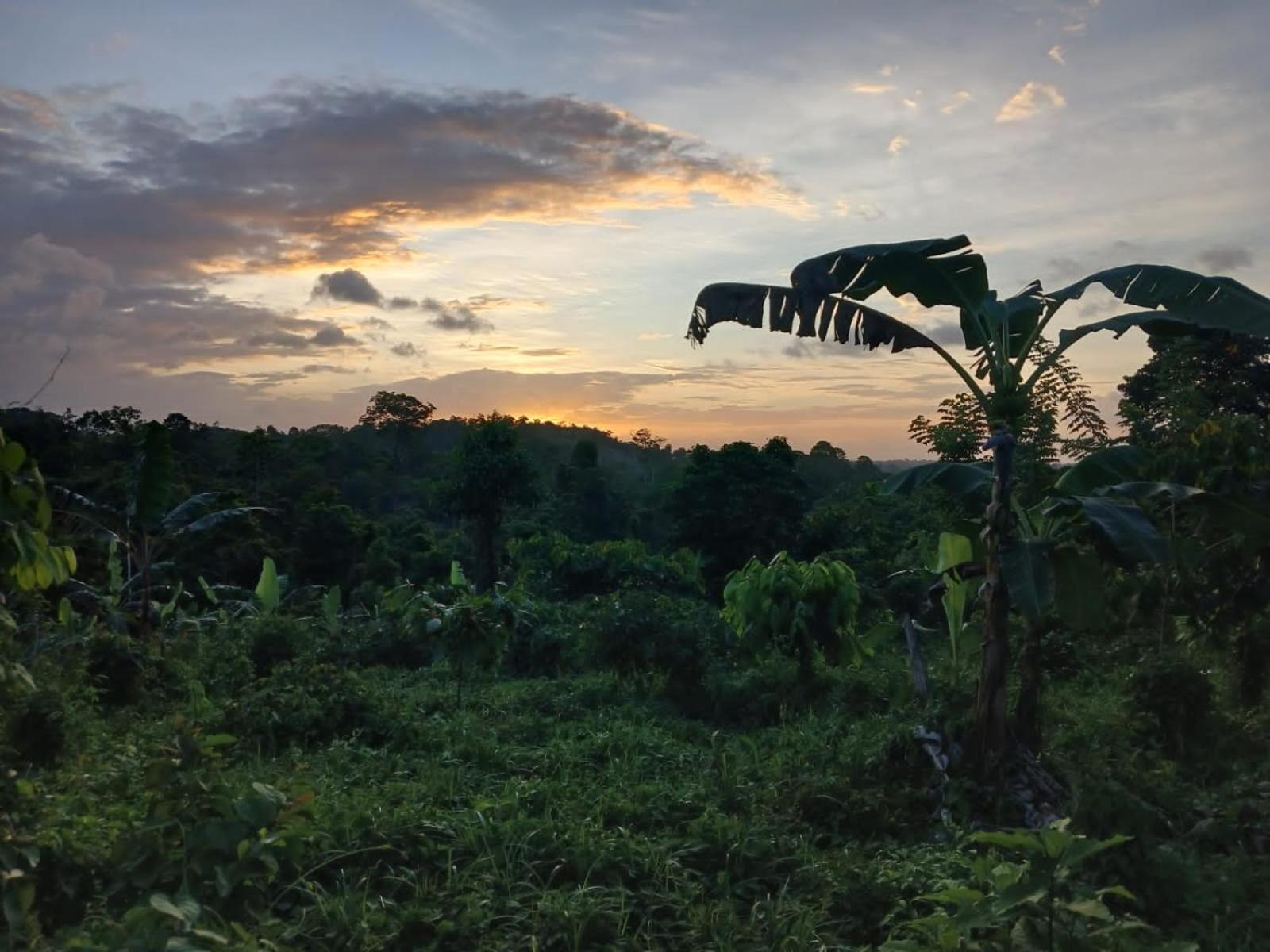 La Mariola - Finca Agroecologica เอล คาสติลโล เด ลา คอนเซปชิอง ภายนอก รูปภาพ