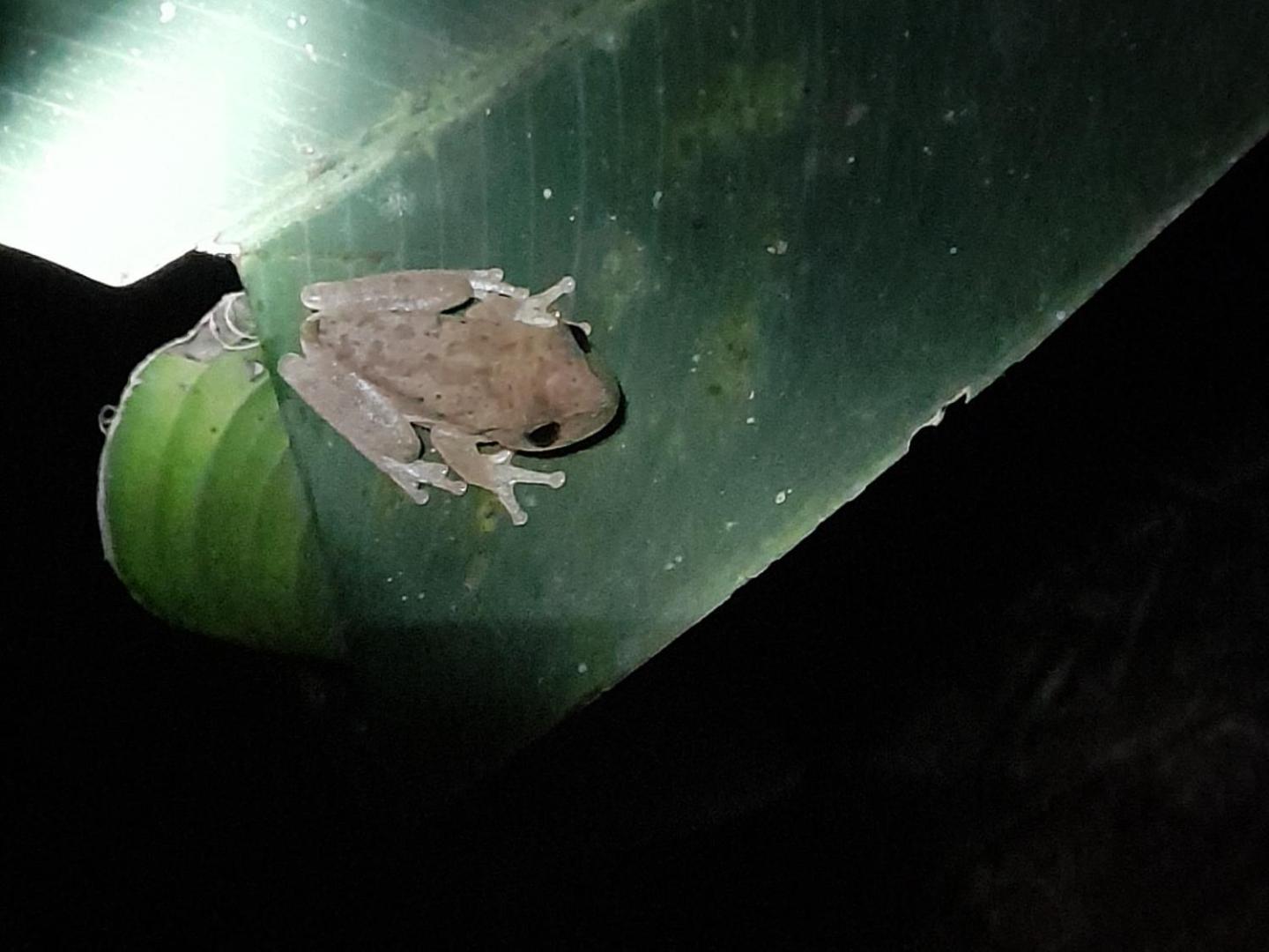 La Mariola - Finca Agroecologica เอล คาสติลโล เด ลา คอนเซปชิอง ภายนอก รูปภาพ