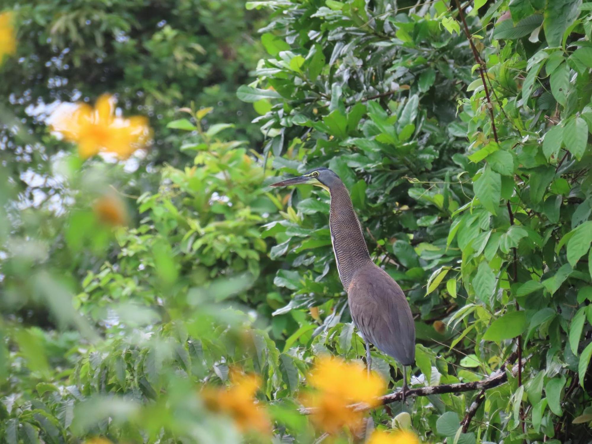 La Mariola - Finca Agroecologica เอล คาสติลโล เด ลา คอนเซปชิอง ภายนอก รูปภาพ