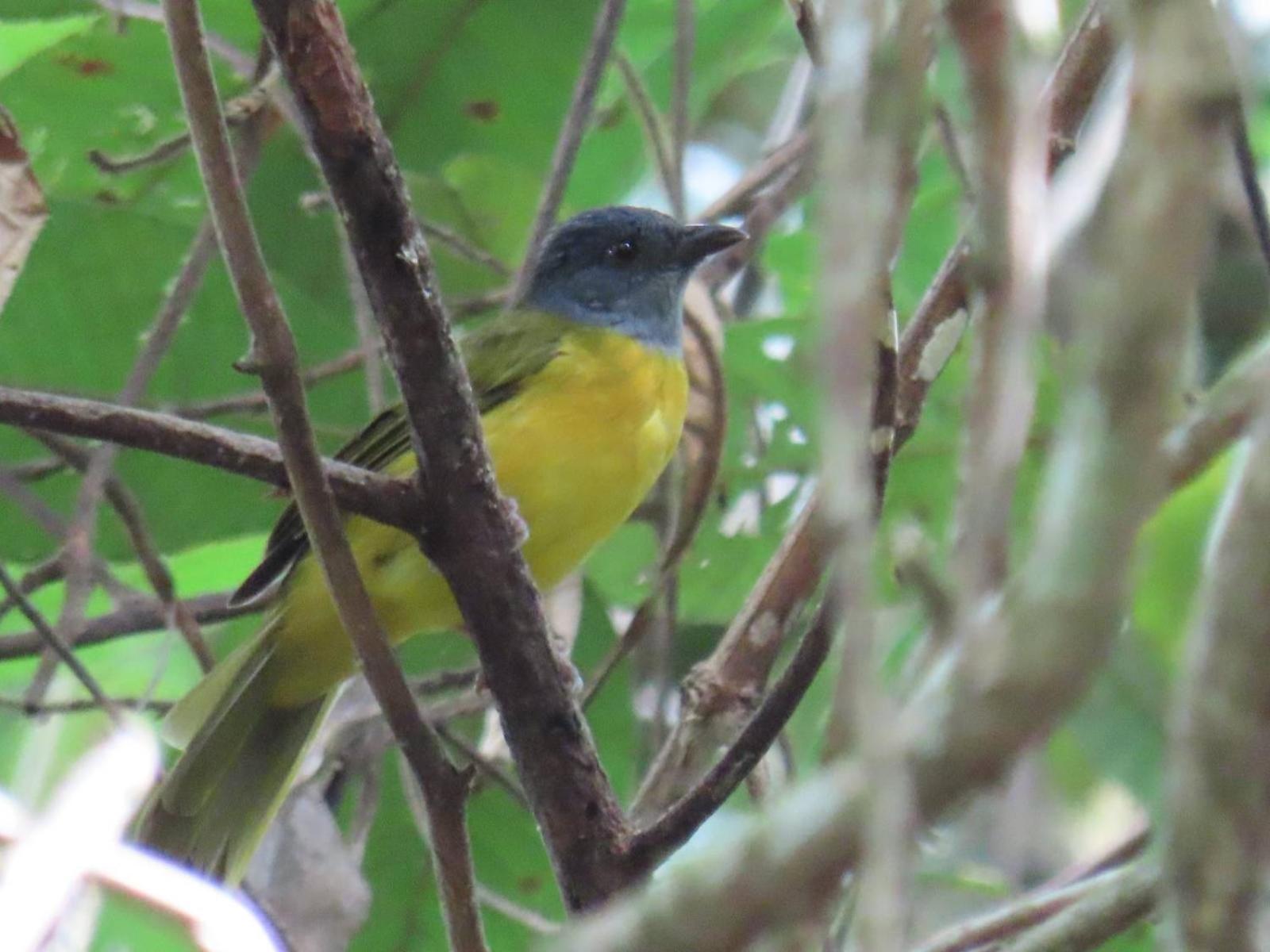 La Mariola - Finca Agroecologica เอล คาสติลโล เด ลา คอนเซปชิอง ภายนอก รูปภาพ