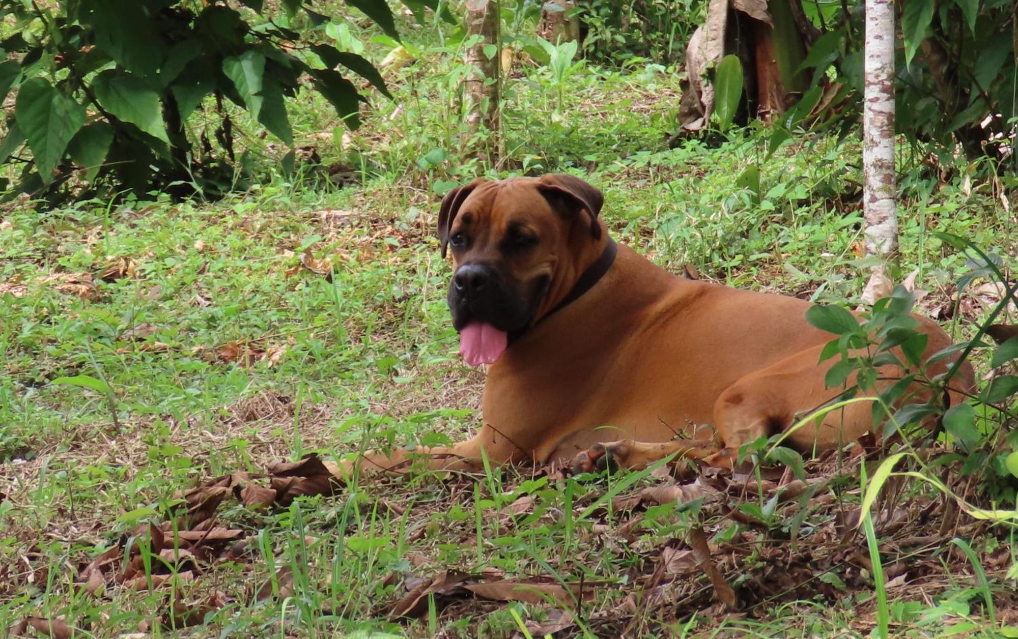 La Mariola - Finca Agroecologica เอล คาสติลโล เด ลา คอนเซปชิอง ภายนอก รูปภาพ