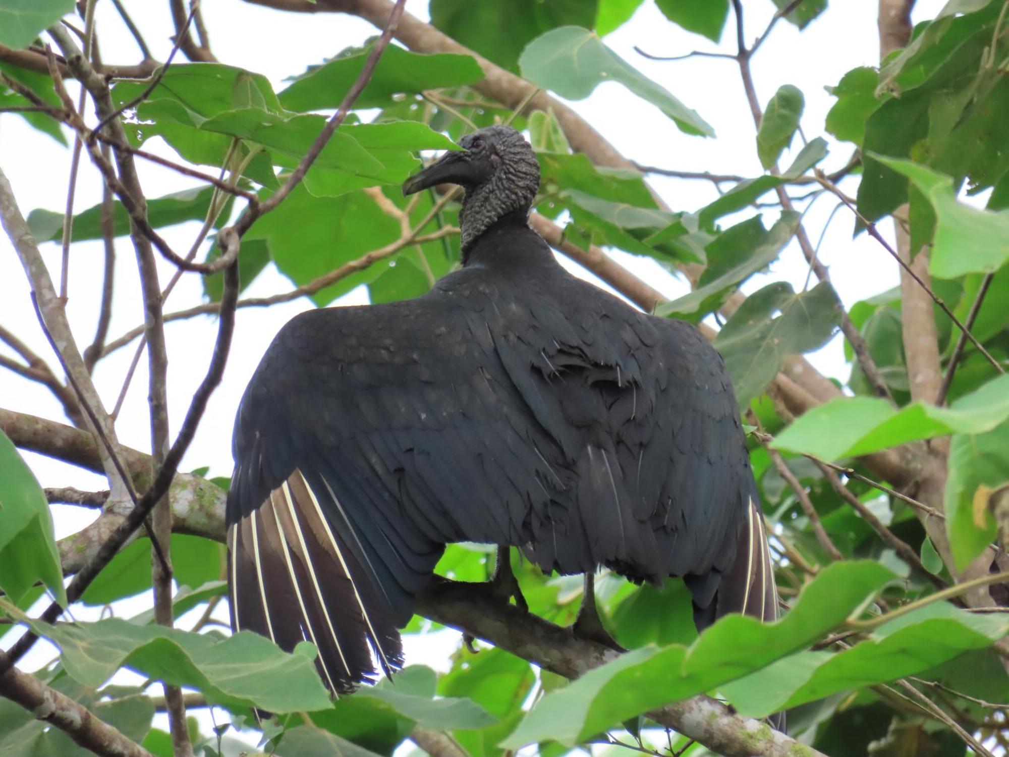 La Mariola - Finca Agroecologica เอล คาสติลโล เด ลา คอนเซปชิอง ภายนอก รูปภาพ