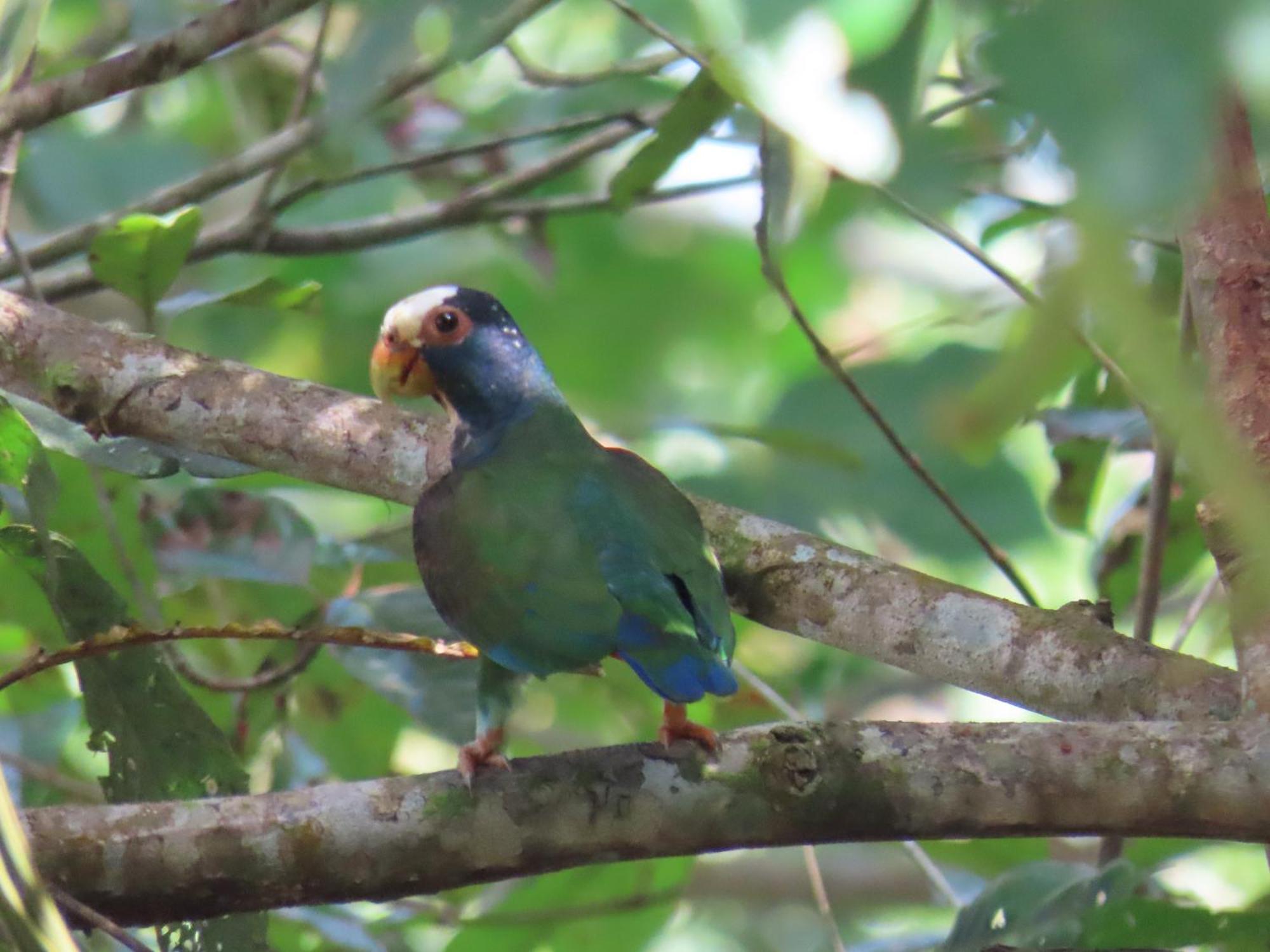 La Mariola - Finca Agroecologica เอล คาสติลโล เด ลา คอนเซปชิอง ภายนอก รูปภาพ