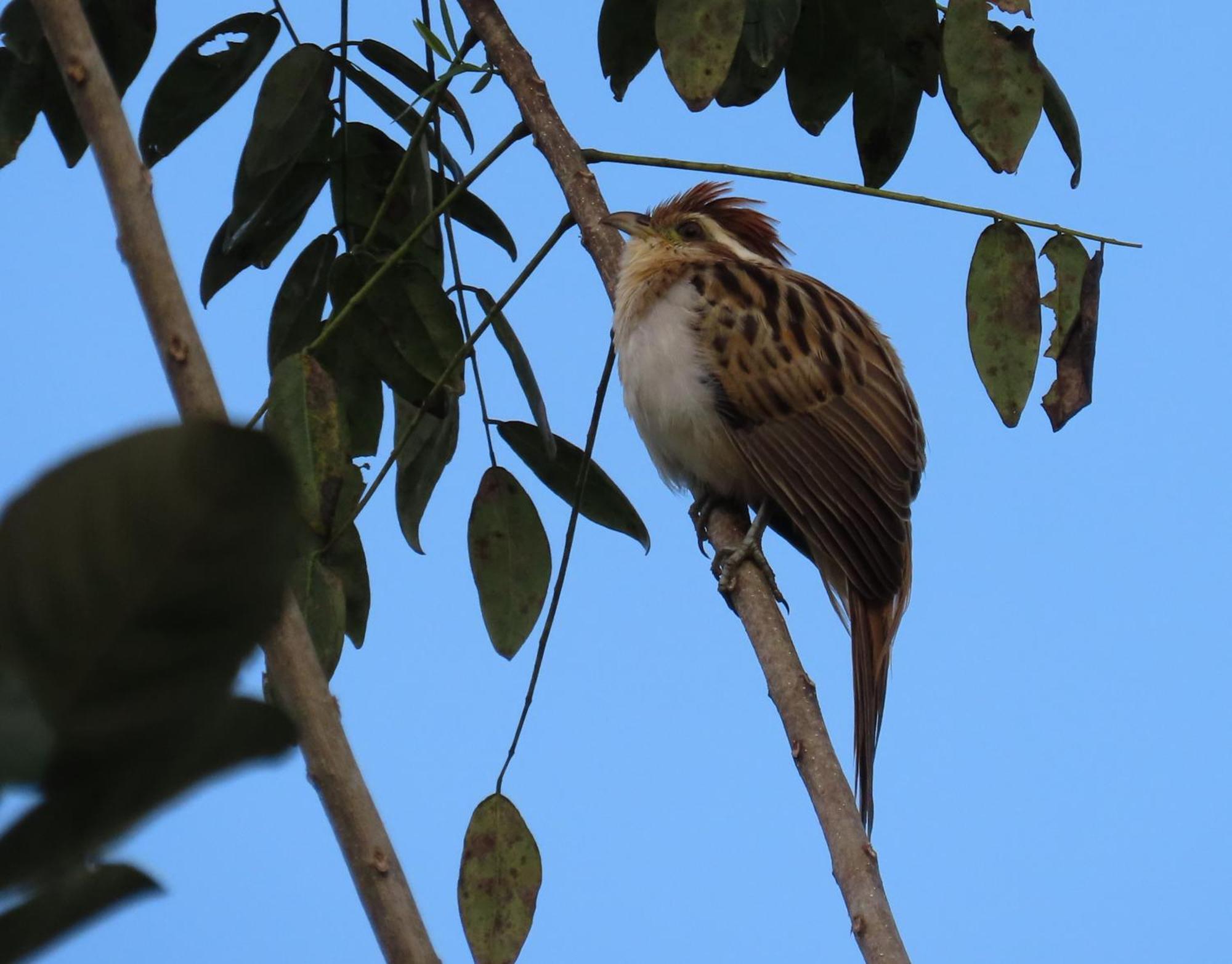 La Mariola - Finca Agroecologica เอล คาสติลโล เด ลา คอนเซปชิอง ภายนอก รูปภาพ