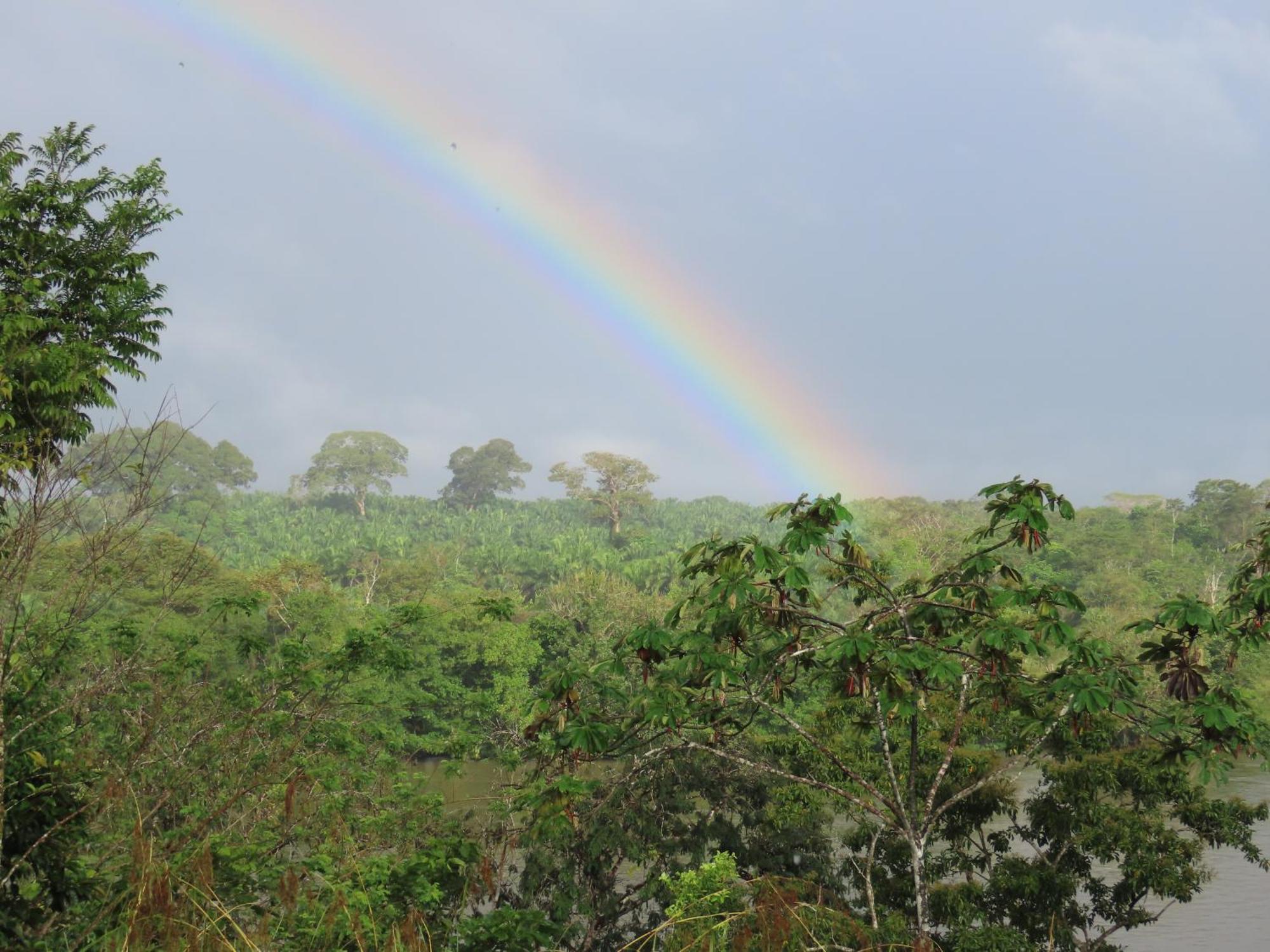 La Mariola - Finca Agroecologica เอล คาสติลโล เด ลา คอนเซปชิอง ภายนอก รูปภาพ