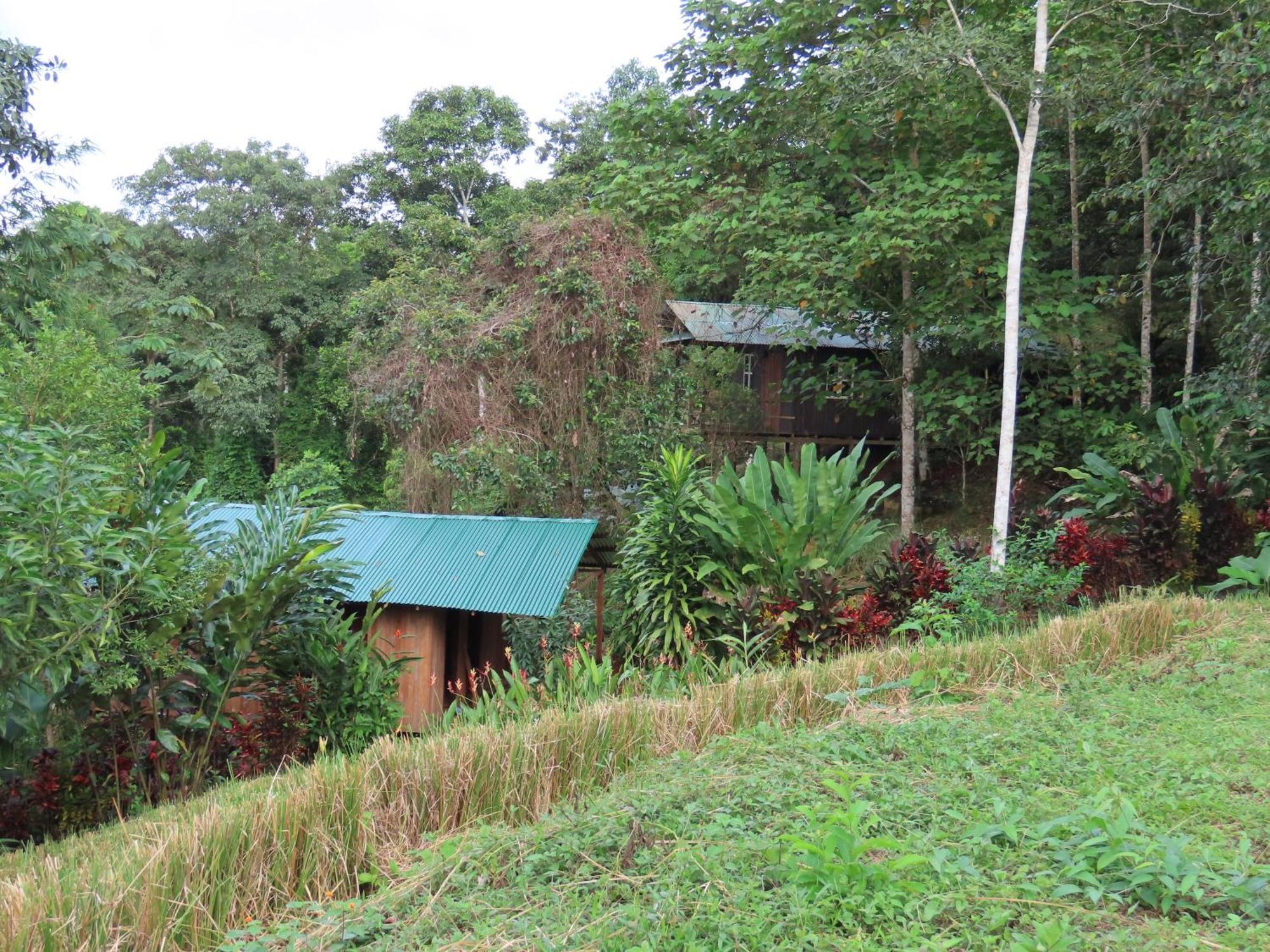 La Mariola - Finca Agroecologica เอล คาสติลโล เด ลา คอนเซปชิอง ภายนอก รูปภาพ