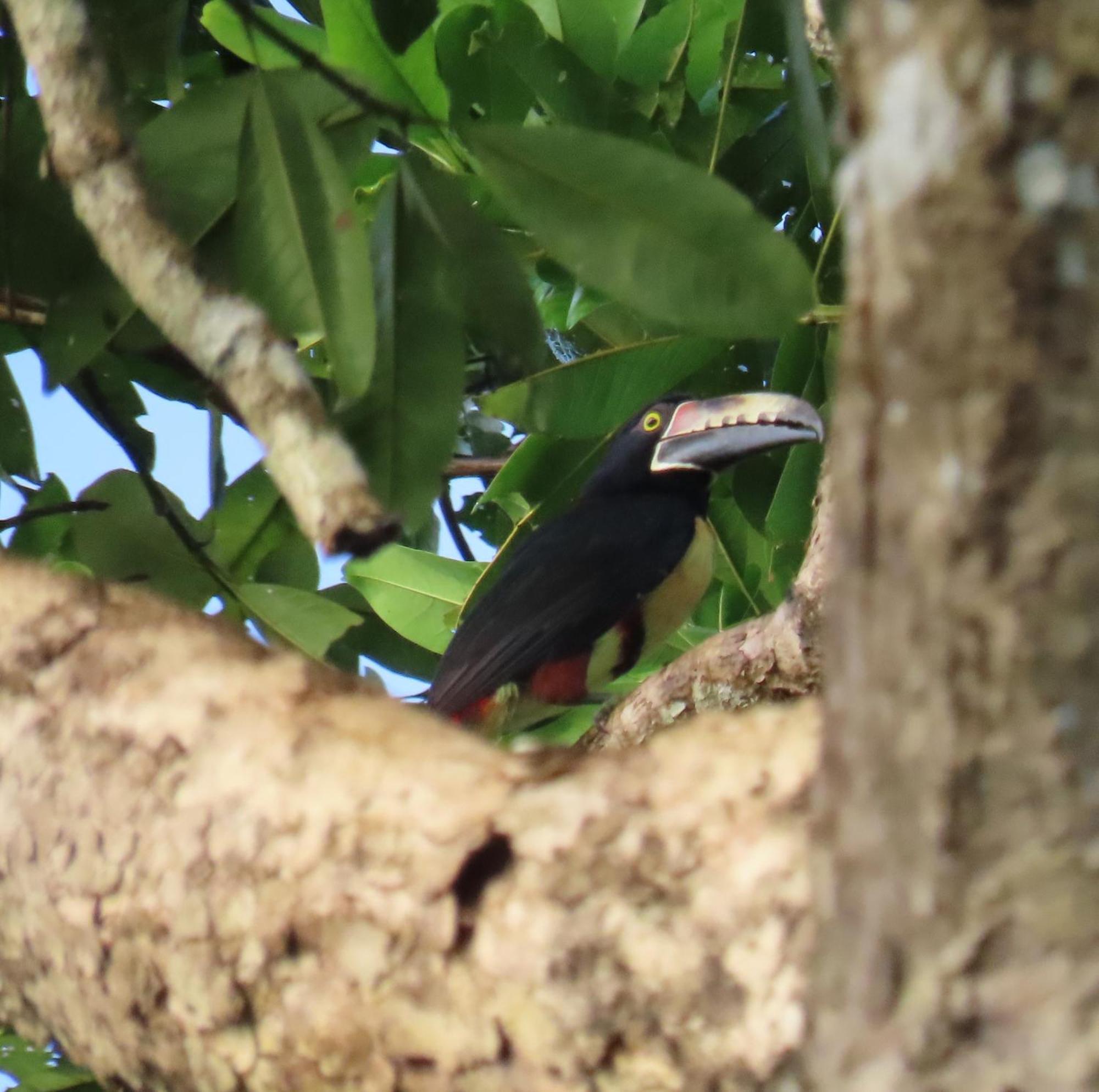 La Mariola - Finca Agroecologica เอล คาสติลโล เด ลา คอนเซปชิอง ภายนอก รูปภาพ