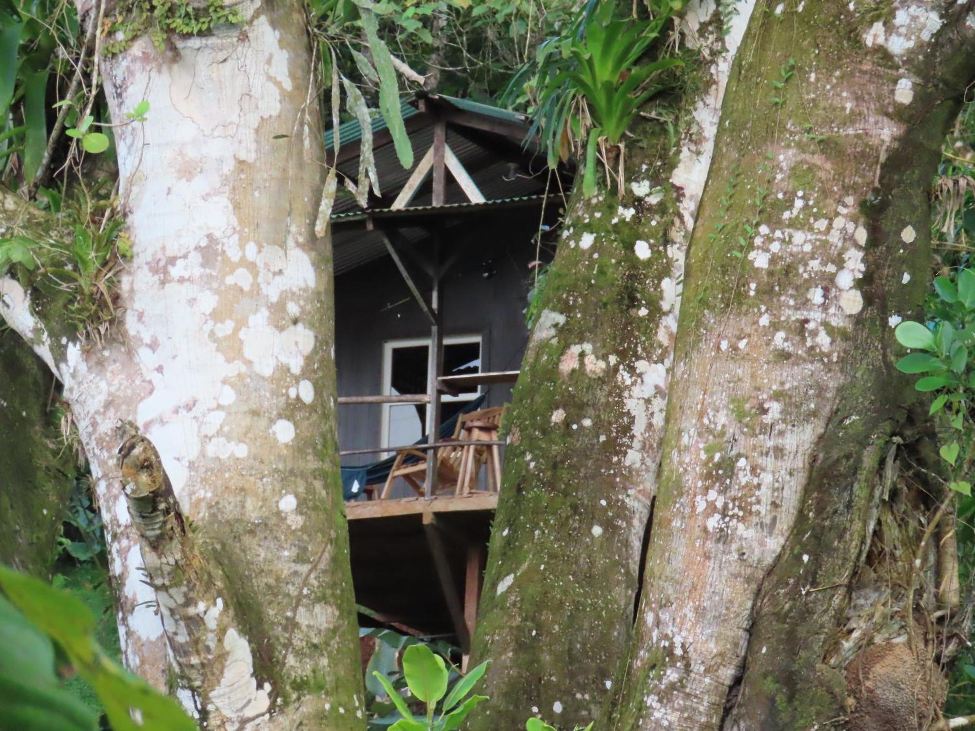 La Mariola - Finca Agroecologica เอล คาสติลโล เด ลา คอนเซปชิอง ภายนอก รูปภาพ