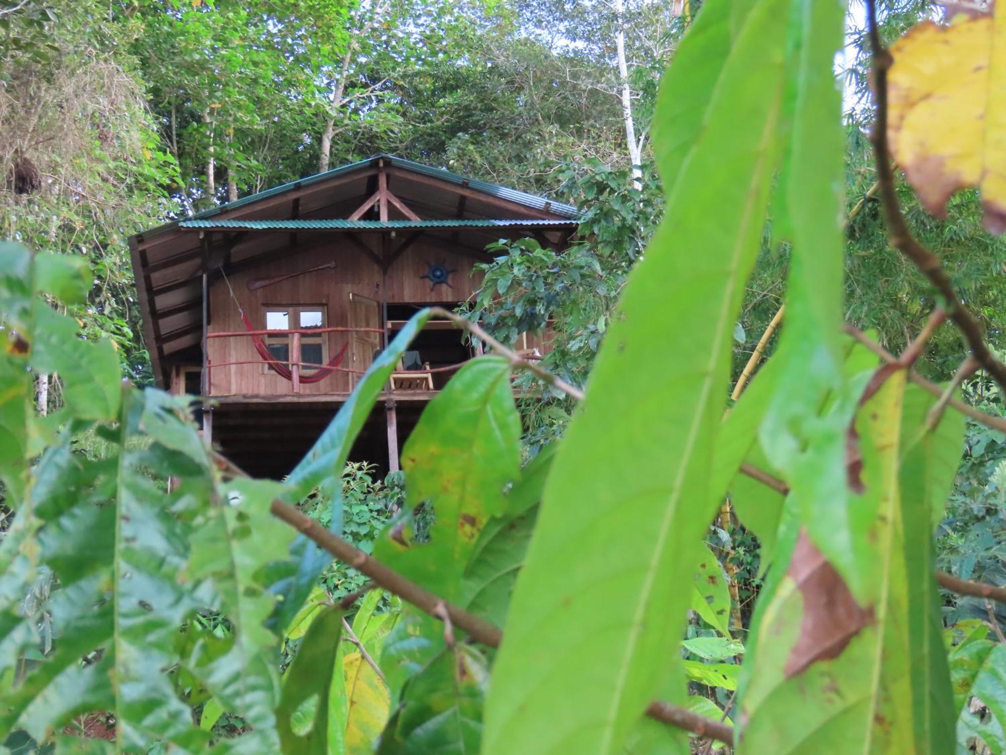 La Mariola - Finca Agroecologica เอล คาสติลโล เด ลา คอนเซปชิอง ภายนอก รูปภาพ