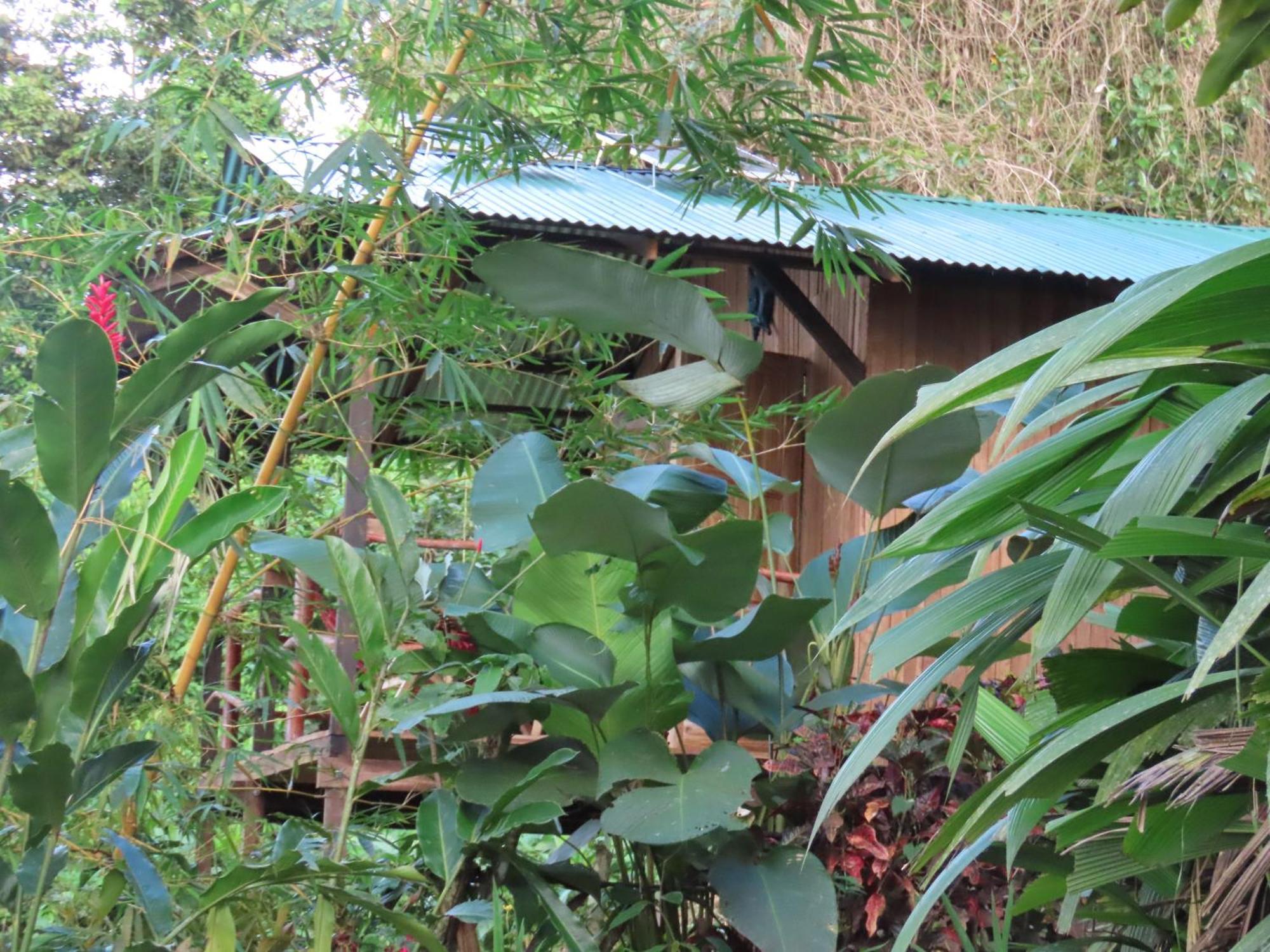 La Mariola - Finca Agroecologica เอล คาสติลโล เด ลา คอนเซปชิอง ภายนอก รูปภาพ